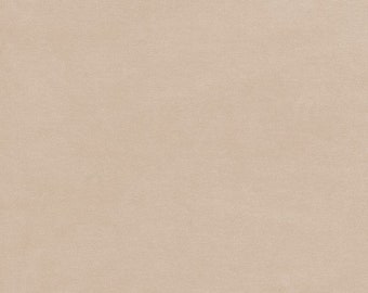 GOT BIO 100% cotton Nicki approx. 165 cm wide light beige (smoke gray)