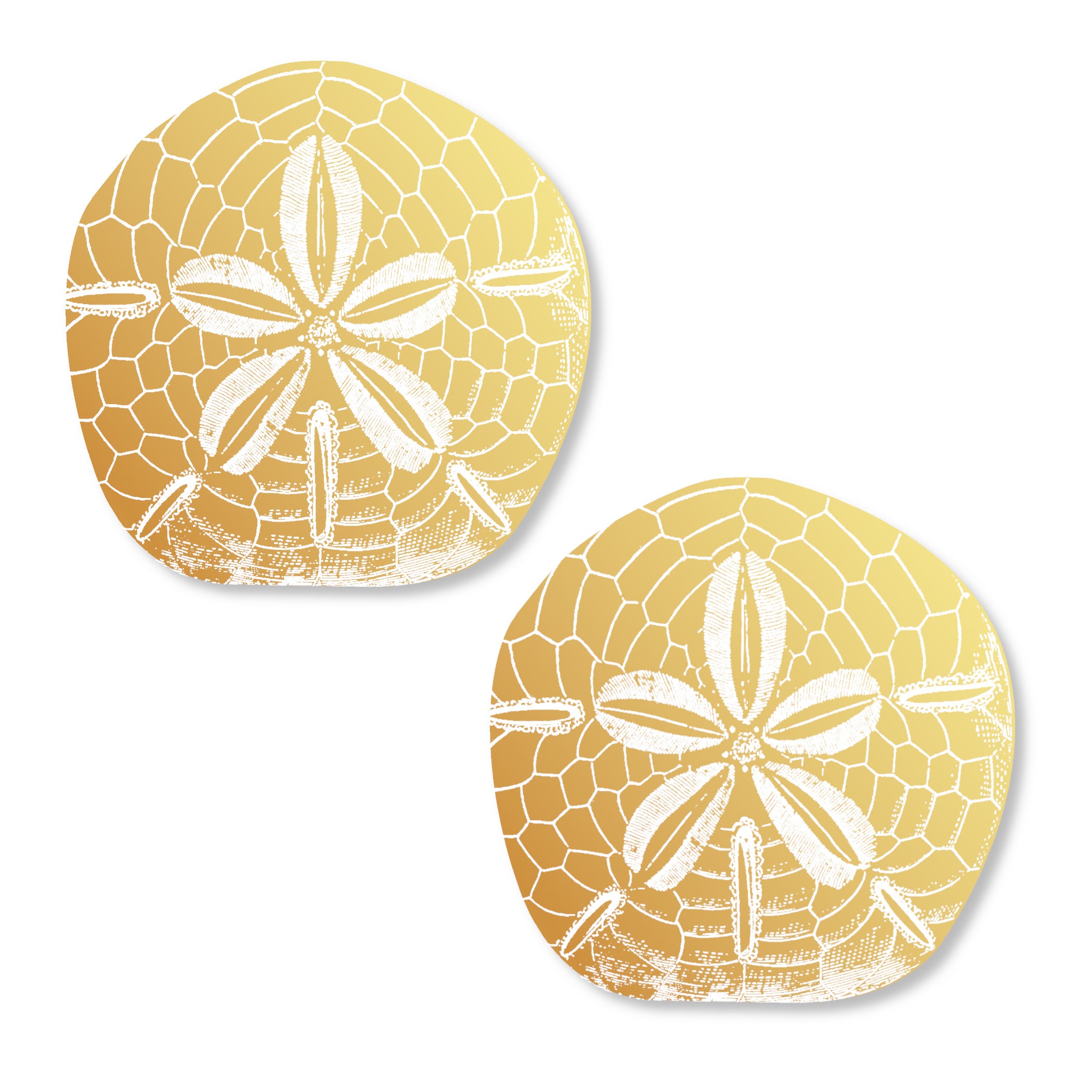 Sanddollar Pasties | Fun Nipple Covers in Multiple Colors for Summer
