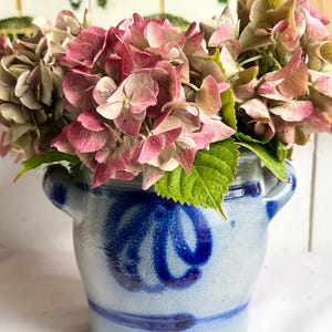 Op de afbeelding: Een blauw-witte keramische pot met een bloemmotief bevat een boeket roze en groene hortensia's. De pot heeft twee kleine handvatten en een blauw wervelpatroon. De bloemen staan in volle bloei, met een mix van roze en groene bloemblaadjes.