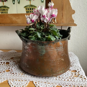Op de afbeelding: Een koperen pot met twee handvatten, die tekenen van ouderdom en slijtage vertoont, is gevuld met een potplant met witte en roze bloemen.