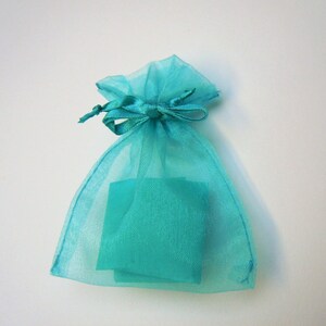 May include: A small, semi-transparent turquoise organza drawstring pouch. The bag is made of a sheer, lightweight fabric with a matching turquoise ribbon tie at the top, cinched closed to secure the contents visible inside the pouch.