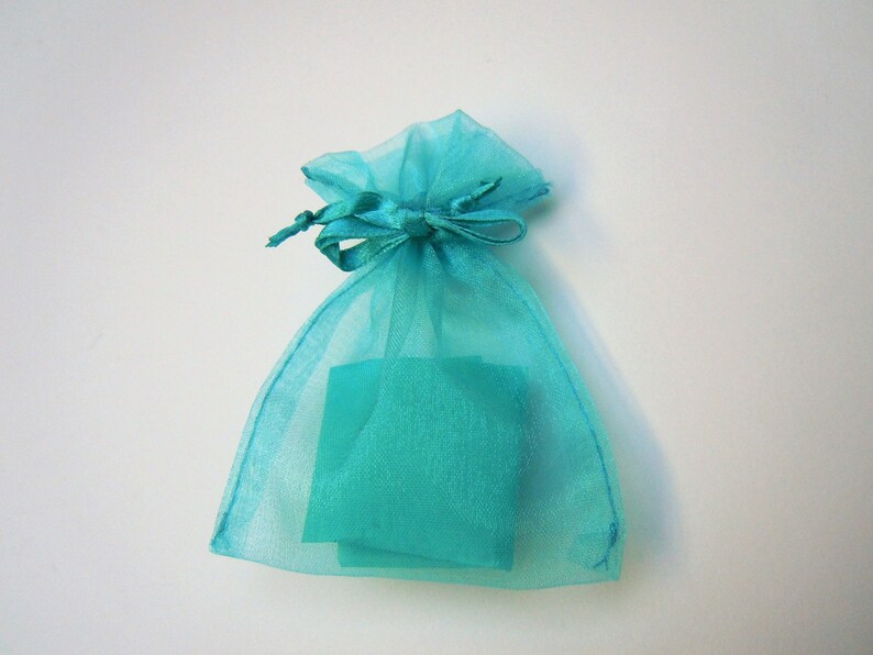 May include: A small, semi-transparent turquoise organza drawstring pouch. The bag is made of a sheer, lightweight fabric with a matching turquoise ribbon tie at the top, cinched closed to secure the contents visible inside the pouch.