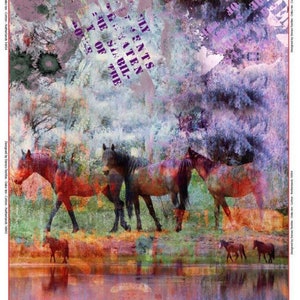 May include: A digital art print featuring a colourful abstract background with horses in a field. The background includes a variety of colours, including purple, blue, green, and red. The horses are brown and black and are standing in a field of green grass. The text "JULY" is visible in the top left corner of the image.