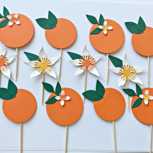 Little Cutie Cupcake Toppers Little Cutie is on the Way Toppers, Little Cutie Baby Shower Clementine Baby Tangerine First Birthday Toppers MIXED - 4 of each