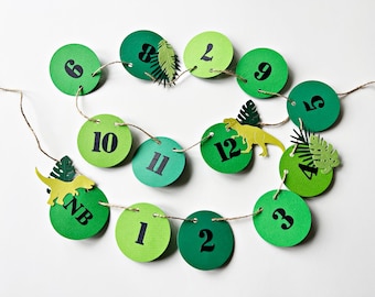 Dinosaur Photo Banner: First Birthday Dino Jungle Decor