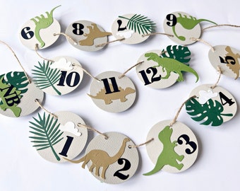 Dinosaur Photo Banner -  Dinosaur First Birthday Party Decorations Monthly Photo Clips Dino 1st Birthday Dino Theme Party Decor Boy or Girl