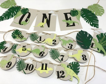 Dinosaur Photo Banner -  Dinosaur First Birthday Party Decorations Monthly Photo Clips Dino 1st Birthday Dino Theme Party Decor Boy or Girl