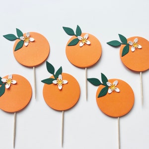 Little Cutie Cupcake Toppers Little Cutie is on the Way Toppers, Little Cutie Baby Shower Clementine Baby Tangerine First Birthday Toppers Oranges with Flowers