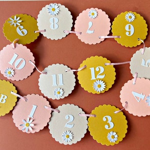 Daisy Monthly Photo Banner - 12 Month Photo Banner, Retro Hippie 1st Birthday, Girl First Birthday, Monthly Pictures Banner Milestone Banner