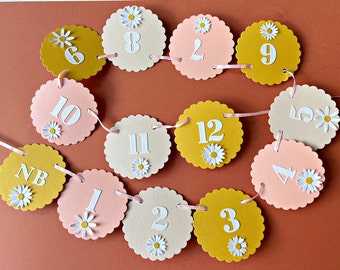 Daisy Monthly Photo Banner - 12 Month Photo Banner, Retro Hippie 1st Birthday, Girl First Birthday, Monthly Pictures Banner Milestone Banner