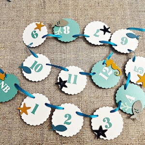 Under the Sea Milestone Banner - Ocean 1st Birthday, 12-Month Photo Banner Sea Party Decorations, Oneder the Sea Party Boy Girl 1st Birthday