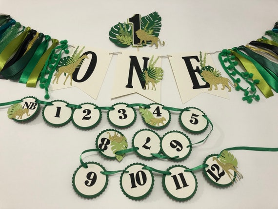 Safari Photo Banner: Wild ONE 1st Birthday, 12 Month Display