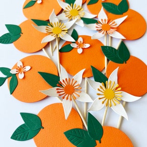 Little Cutie Cupcake Toppers Little Cutie is on the Way Toppers, Little Cutie Baby Shower Clementine Baby Tangerine First Birthday Toppers image 1