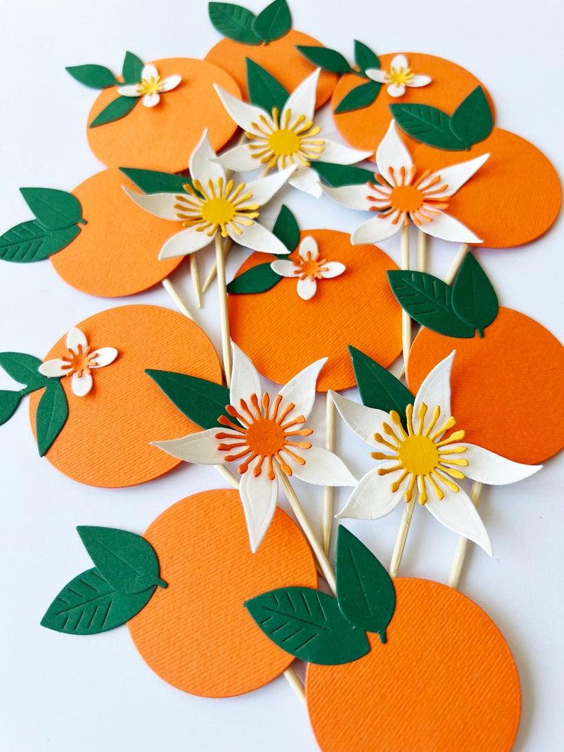 Little Cutie Cupcake Toppers Little Cutie is on the Way Toppers, Little Cutie Baby Shower Clementine Baby Tangerine First Birthday Toppers image 1