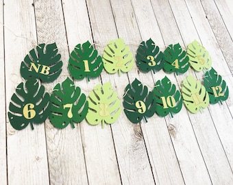 Banner de fotos de 12 meses com folhas de Monstera – Decoração para primeiro aniversário