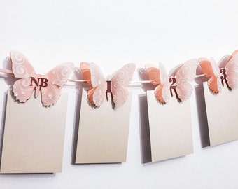 Butterfly Photo Banner - Rose Gold, Embossed Vellum, 1st Birthday Decor