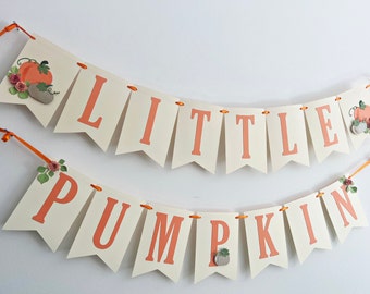 Herbst Babyparty Dekoration „A Little Pumpkin Is On The Way“ – Banner & Kürbis-Deko, Rosa/glitzer