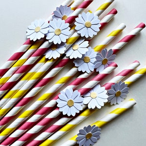 10 Daisy Paper Straws or Cupcake Toppers Two Groovy Daisy Birthday Decorations. Bridal Shower, Wedding, Engagement, Retro Vintage Birthday MIXED -Pink & Yellow