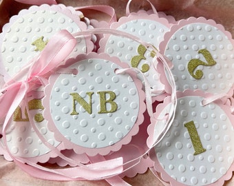 First Birthday Photo Banner - Monthly Baby Pictures, ANY COLOR Card Stock