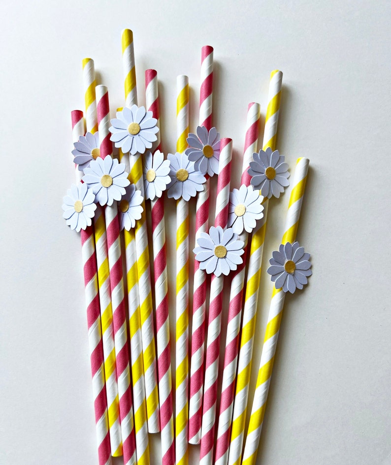 10 Daisy Paper Straws or Cupcake Toppers Two Groovy Daisy Birthday Decorations. Bridal Shower, Wedding, Engagement, Retro Vintage Birthday image 1