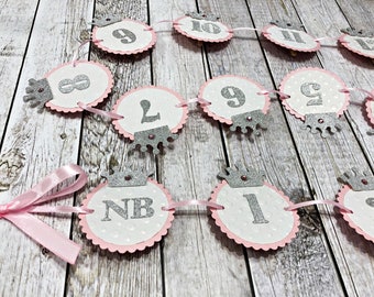 Pink & Silver Princess First Birthday Photo Banner - Princess Theme Party One Year Photo Banner Monthly Photo Pink and Silver/ Gold Birthday