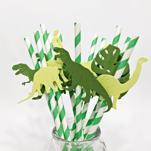 Dinosaur Birthday Decoration Dinosaur Party Decorations Etsy