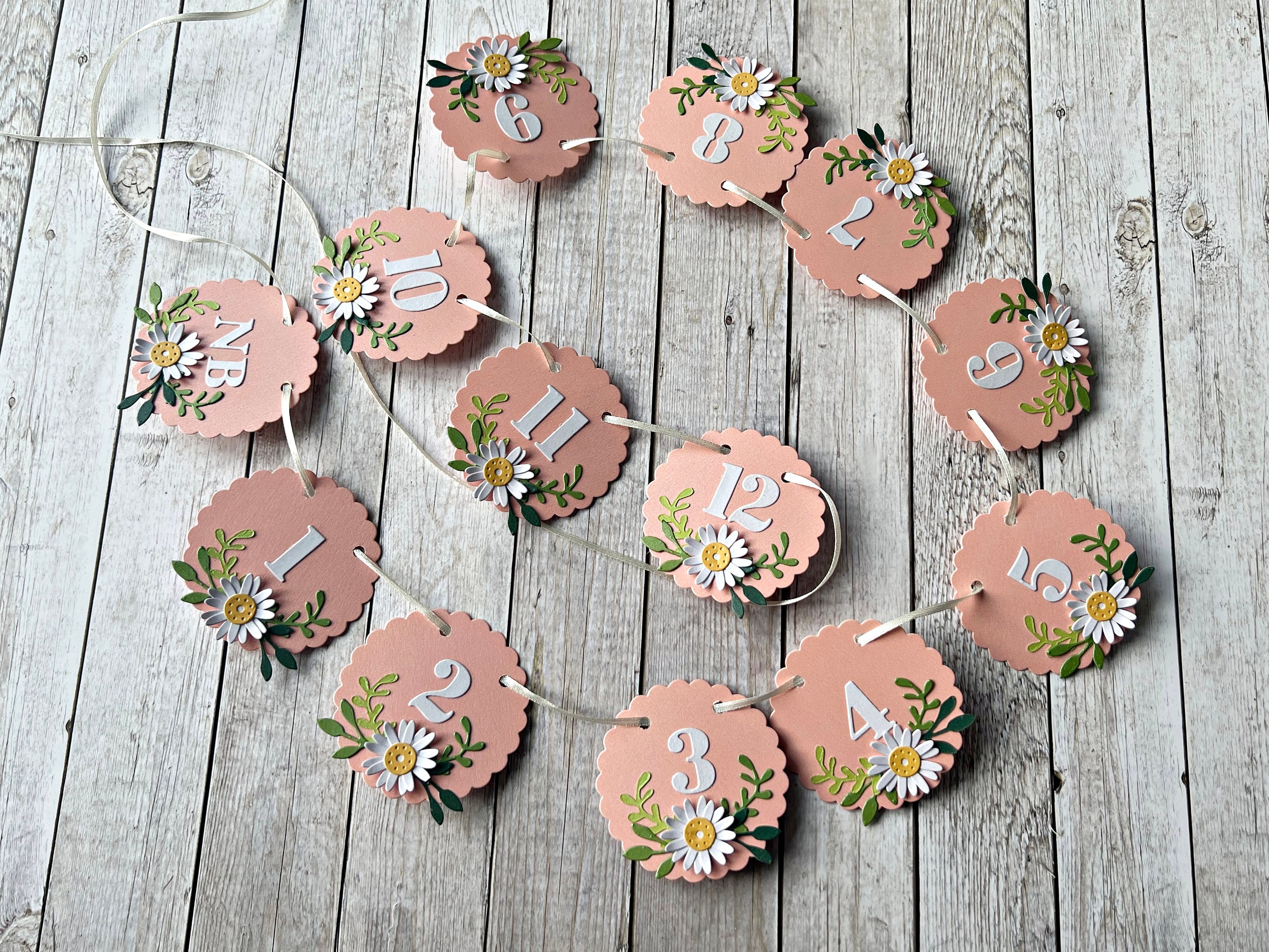 Daisy 12 Month Photo Banner - Daisy Flower 1st Birthday Decorations ...