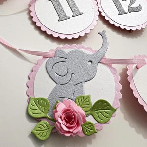 Striscione fotografico per il primo compleanno di un elefante - Striscione fotografico mensile floreale rosa - Striscione fotografico per traguardo - Striscione floreale Boho per il primo compleanno di una bambina