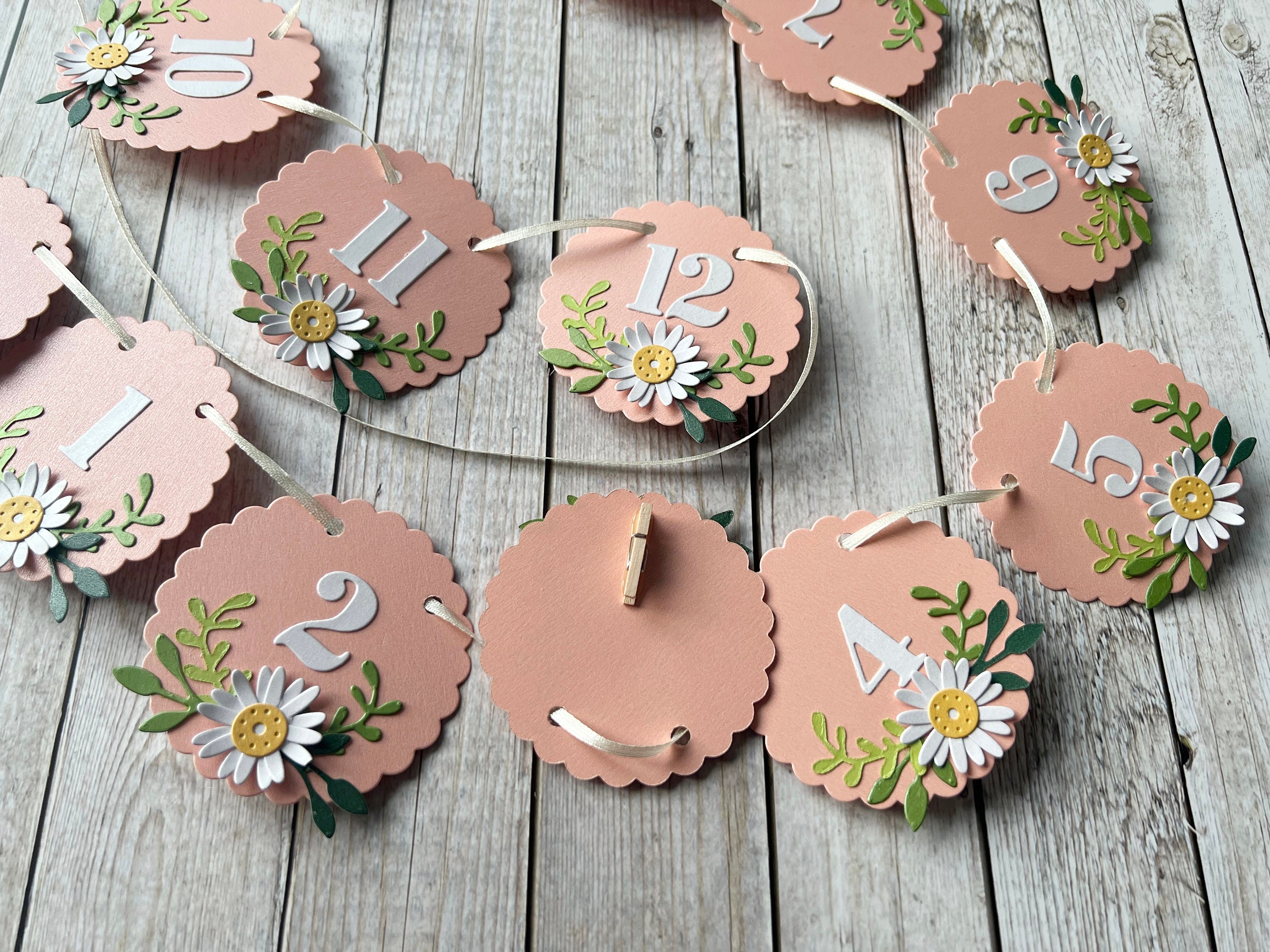 Daisy 12 Month Photo Banner - Daisy Flower 1st Birthday Decorations ...