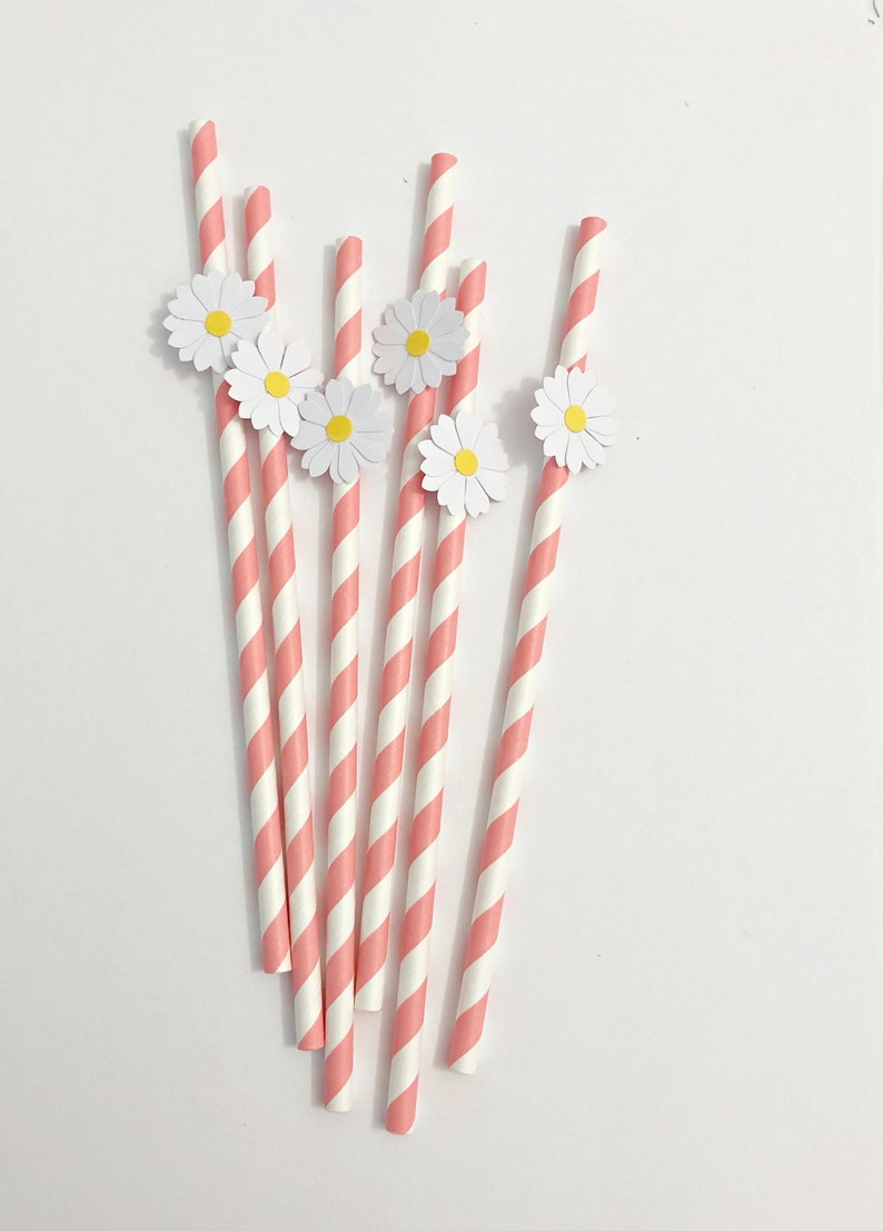 10 Daisy Paper Straws or Cupcake Toppers Two Groovy Daisy Birthday Decorations. Bridal Shower, Wedding, Engagement, Retro Vintage Birthday image 4