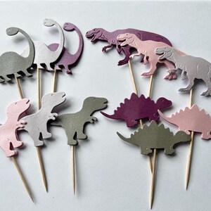 May include: A set of 10 dinosaur cupcake toppers in pink, purple, and gray. The toppers are made of cardstock and are attached to wooden skewers.