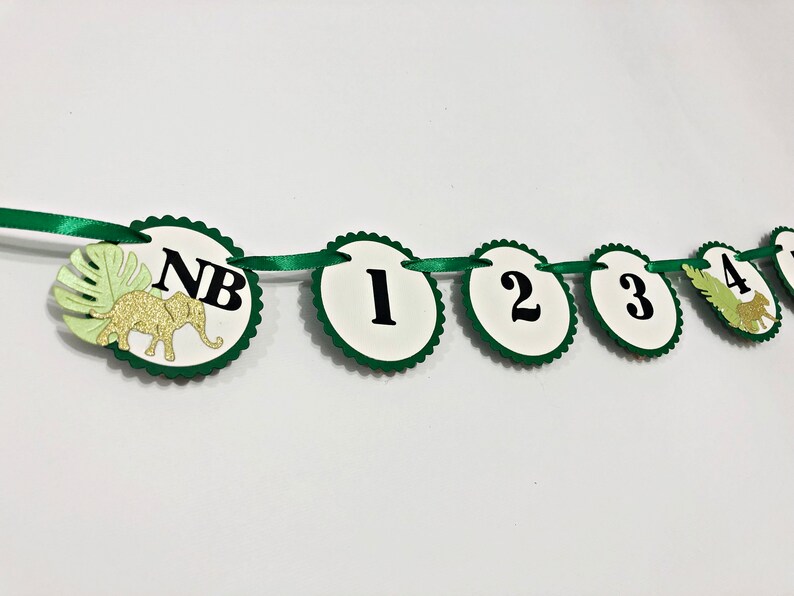 May include: Green and white banner with a green elephant and the letters NB, followed by the numbers 1, 2, 3, 4, and 5.
