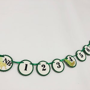 May include: Green and white paper garland with a dinosaur theme. The garland has circles with the numbers 1 through 7 and the letters NB.