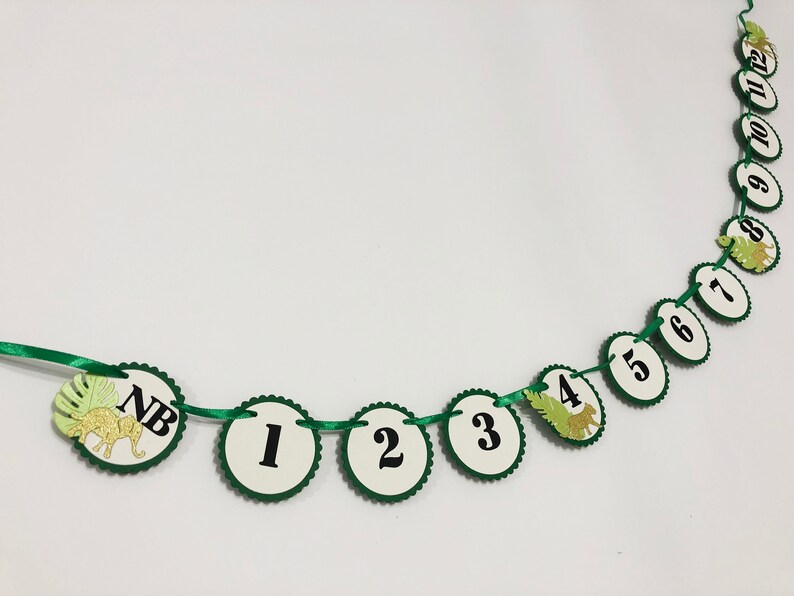 May include: Green and white paper garland with a dinosaur theme. The garland has circles with the numbers 1 through 7 and the letters NB.