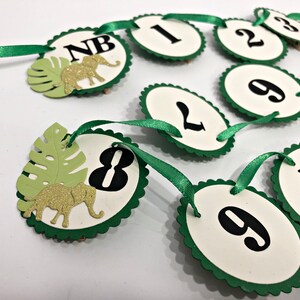 May include: Green and white paper garland with a jungle theme. The garland has a green ribbon and features numbers 1 through 10, along with a 'NB' for 'newborn' and an elephant with gold glitter.