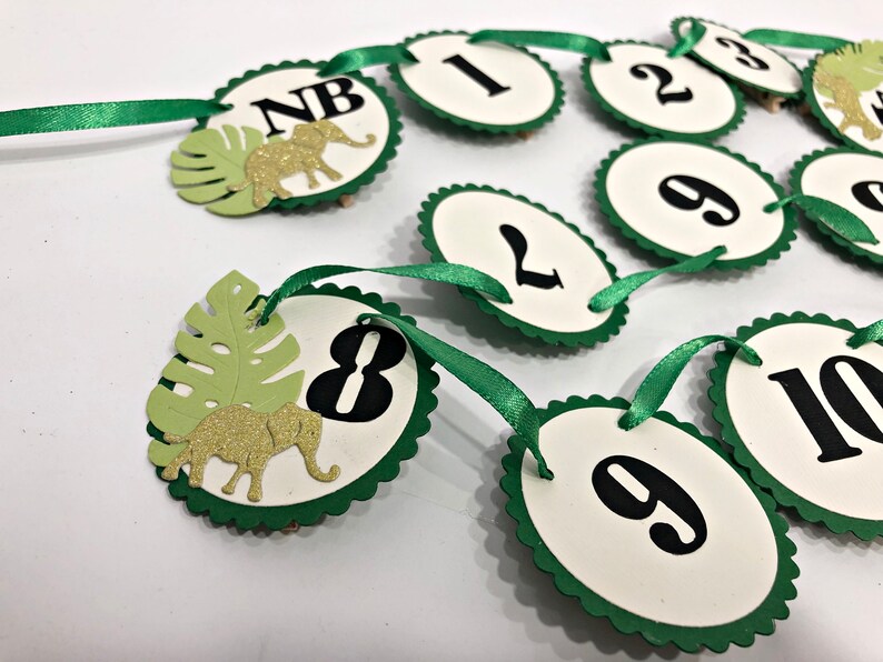 May include: Green and white paper garland with a jungle theme. The garland has a green ribbon and features numbers 1 through 10, along with a 'NB' for 'newborn' and an elephant with gold glitter.