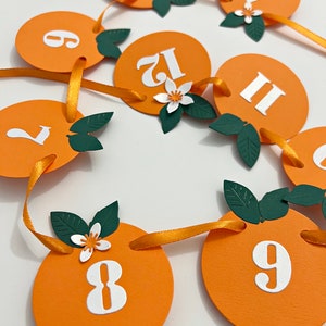 Little Cutie One High Chair Banner Orange ONE Banner. Clementine 1st Birthday Decorations. Tangerine Theme First Birthday. Citrus Party NB-12 Photo Banner