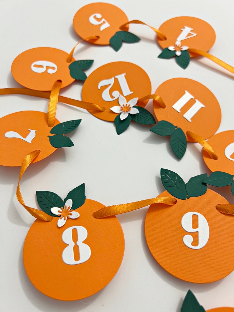 Little Cutie One High Chair Banner Orange ONE Banner. Clementine 1st Birthday Decorations. Tangerine Theme First Birthday. Citrus Party NB-12 Photo Banner