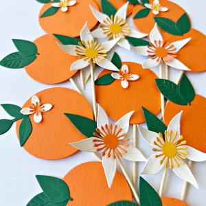 Little Cutie Cupcake Toppers Little Cutie is on the Way Toppers, Little Cutie Baby Shower Clementine Baby Tangerine First Birthday Toppers image 2