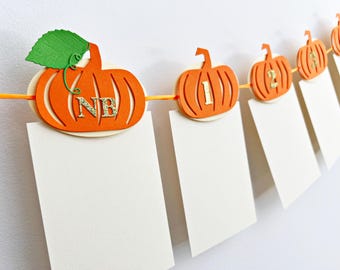 Pumpkin First Birthday Photo Banner – 12 Months, Fall Party Decorations