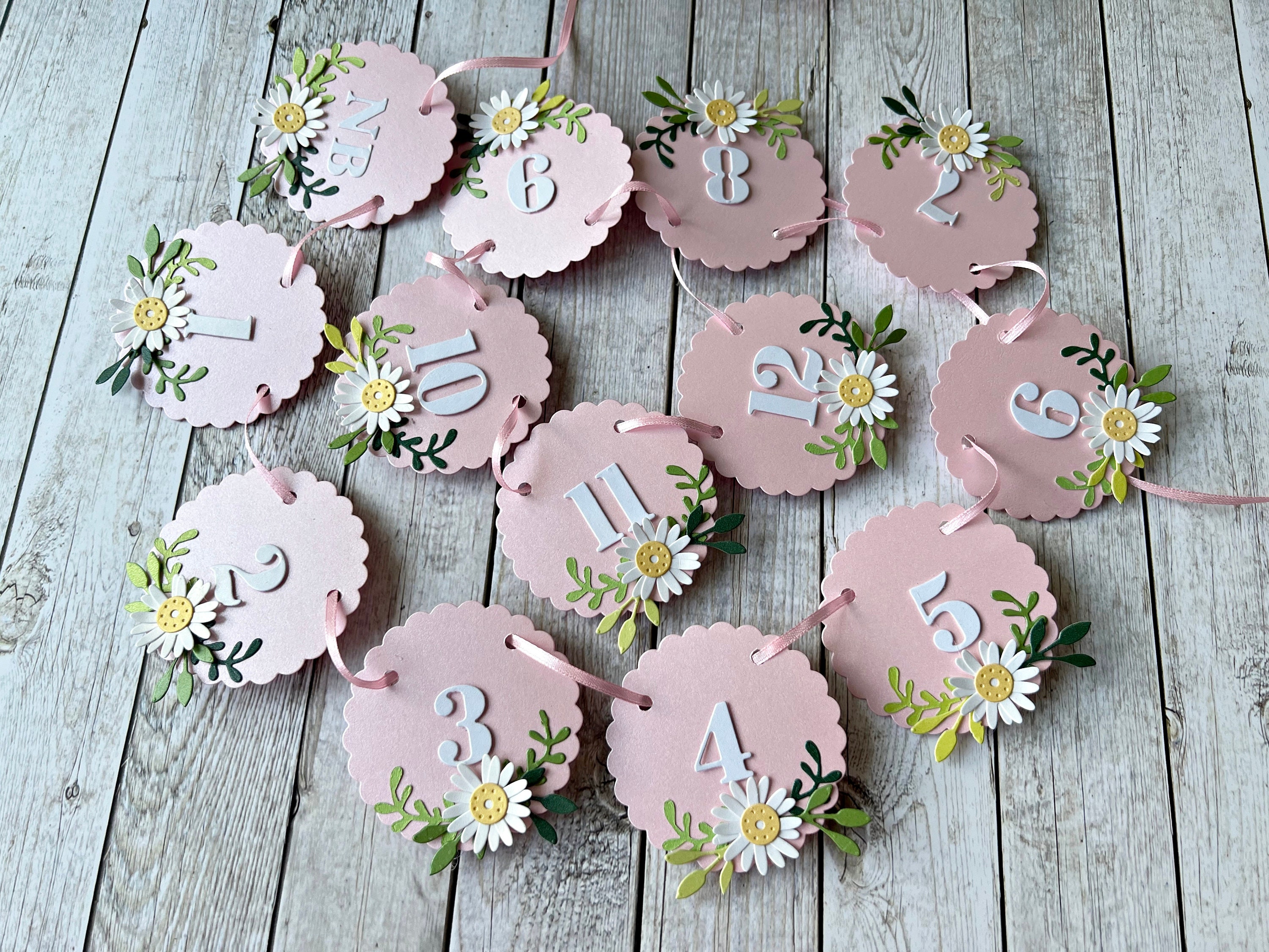 Daisy 12 Month Photo Banner - Daisy Flower 1st Birthday Decorations ...