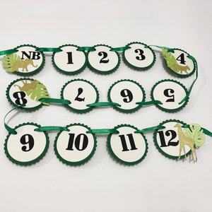 May include: Green and white paper circle banner with numbers 1 through 12, NB, and a jungle animal theme. The banner is strung together with green ribbon.
