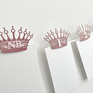 Princess First Birthday Party Decorations - Rose Gold Glitter Crown Photo Banner. Royal Princess Theme Party One Year Banner. Monthly Photos
