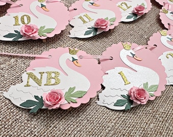 May include: Pink and white swan banner with gold glitter numbers and letters. The banner includes the letters NB and the numbers 1, 10, 11, 12.