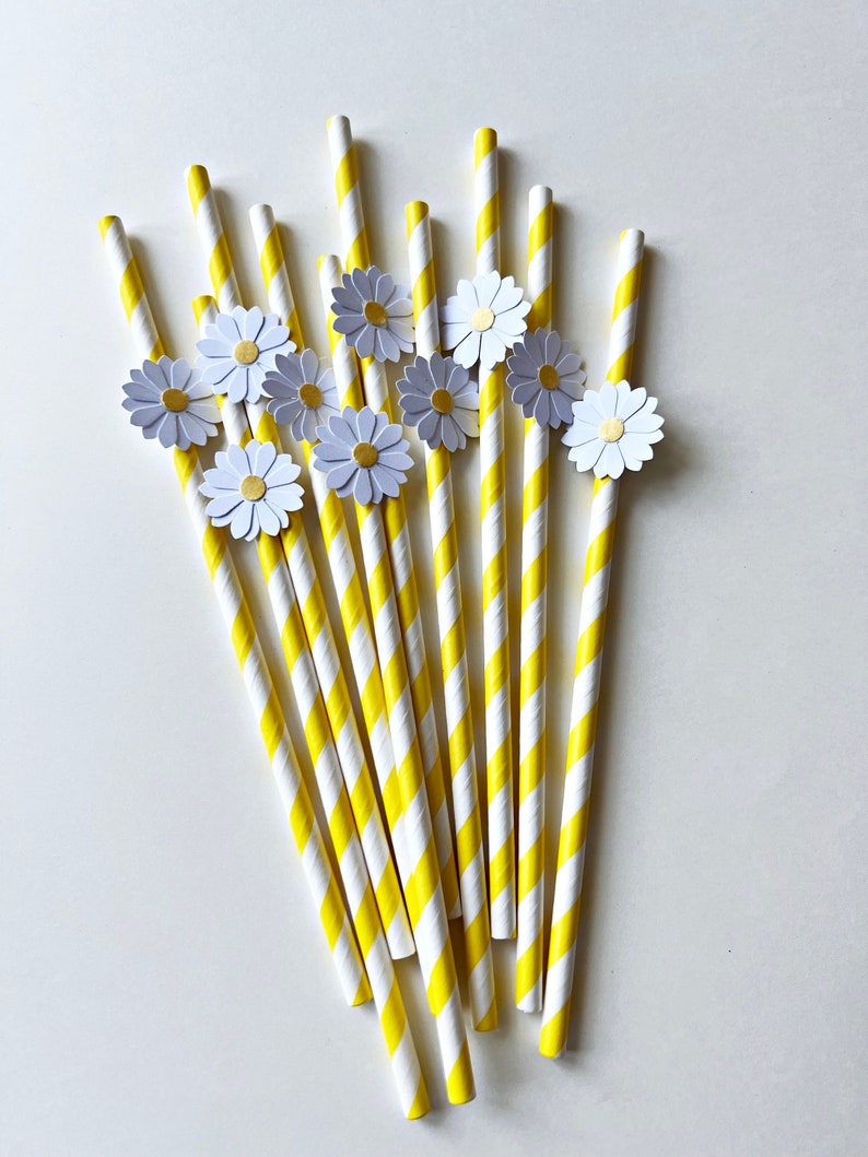 10 Daisy Paper Straws or Cupcake Toppers Two Groovy Daisy Birthday Decorations. Bridal Shower, Wedding, Engagement, Retro Vintage Birthday image 6