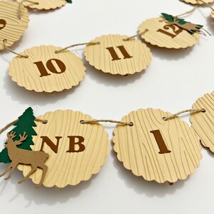 Woodland First Year Photo Banner - Forest 1st Birthday.  Happy Camper Themed Milestone. 1st Year Photos Bear Deer Fawn Fox ONE Happy Camper