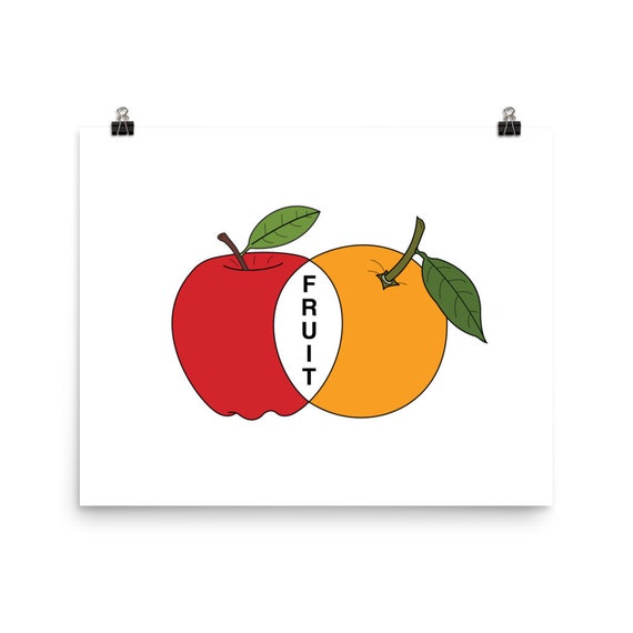 Apple & Orange Venn Diagram Wall Art Print Etsy