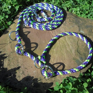 Retrieverleine dog leash braided from paracord image 1