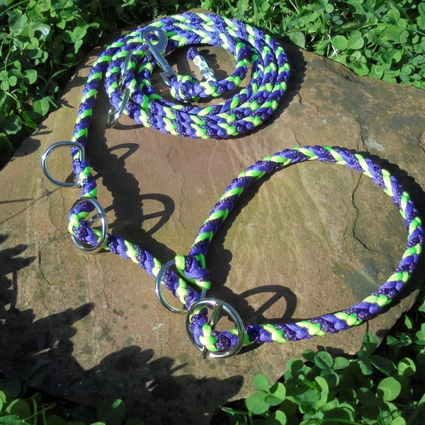 Retrieverleine dog leash braided from paracord