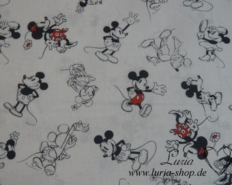 Was es bei dem Kauf die Mickey mouse gardinen zu untersuchen gibt!